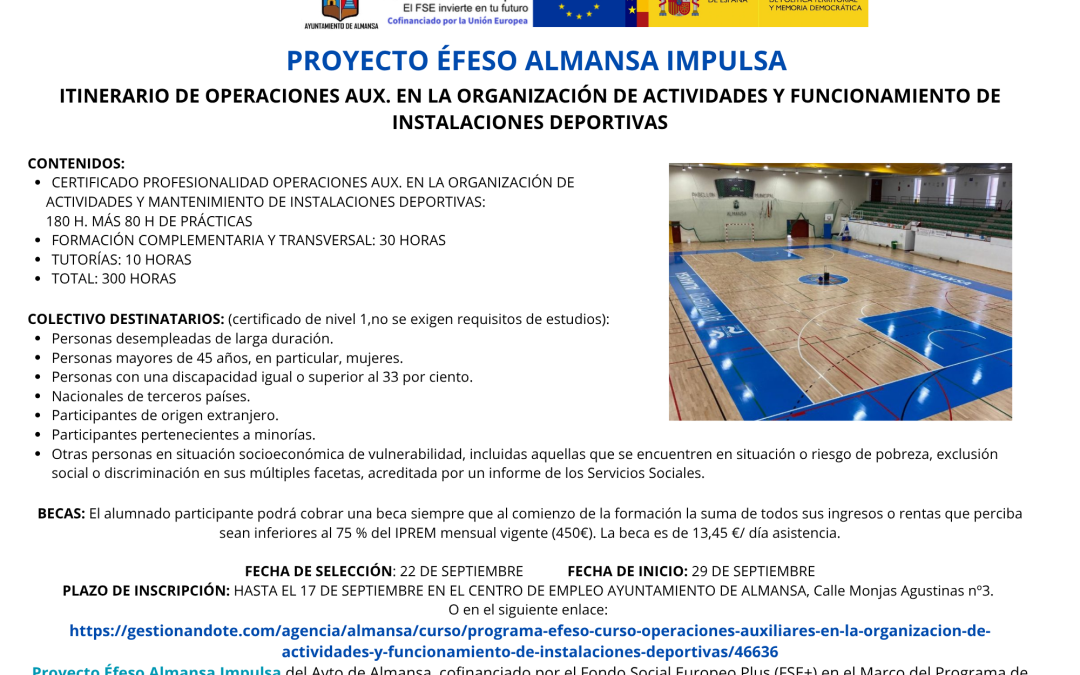 CURSO OPERACIONES AUXILIARES EN LA ORGANIZACIÓN DE ACTIVIDADES Y FUNCIONAMIENTO DE INSTALACIONES DEPORTIVAS